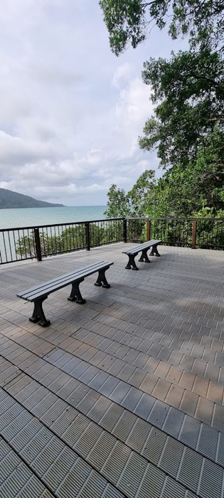 A timber deck with a metal balustrade beside rainforest