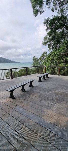 A timber deck with a metal balustrade at the edge of rainforest